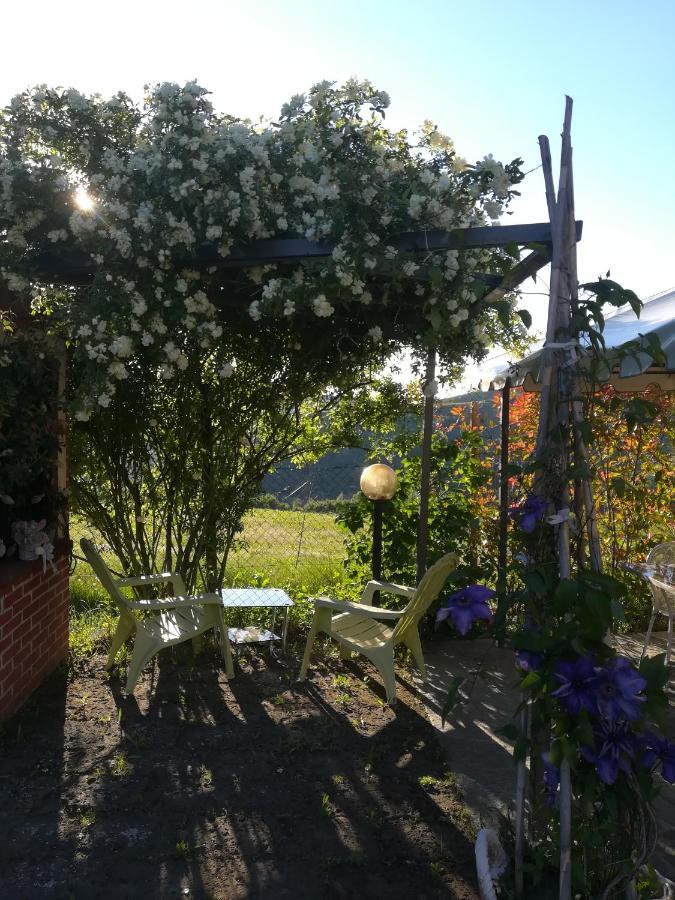 Hostal La Casa Dei Masue' Alba  Exterior foto